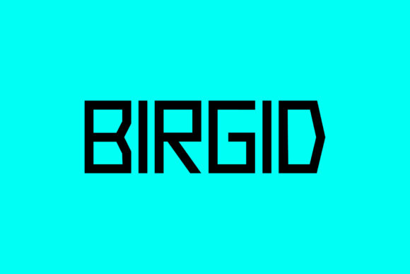 Birgid: A Display Font with Character