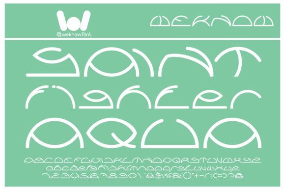 How Saint Fighter Aqua Transformed My Brand’s Visual Identity