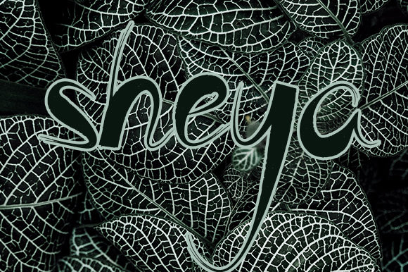Sheya: A Friendly Font for Branding That Feels Authentic